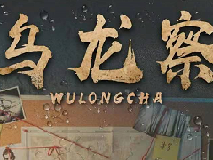《乌龙察》剧本杀复盘剧透角色关系解析凶手