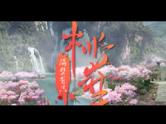 《隔壁有只桃花妖》剧本杀复盘解析真相剧透+凶手案情推理